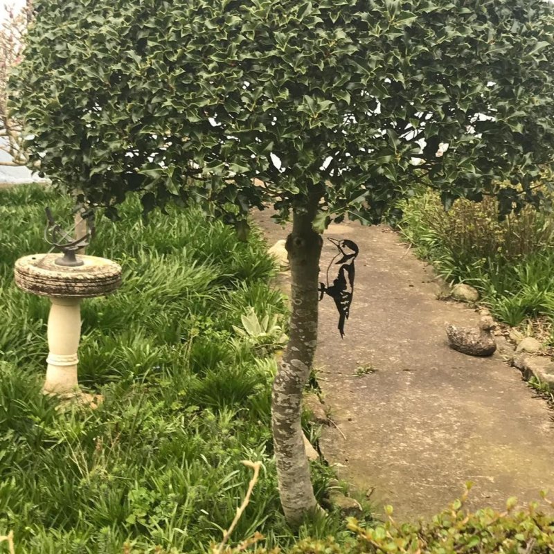 Садовая скульптура  из металла «Дятел»
